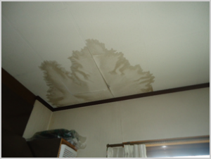 天井のシミやカビの原因を解説。雨漏り以外が原因のことも。 |(有)グラス・サラ