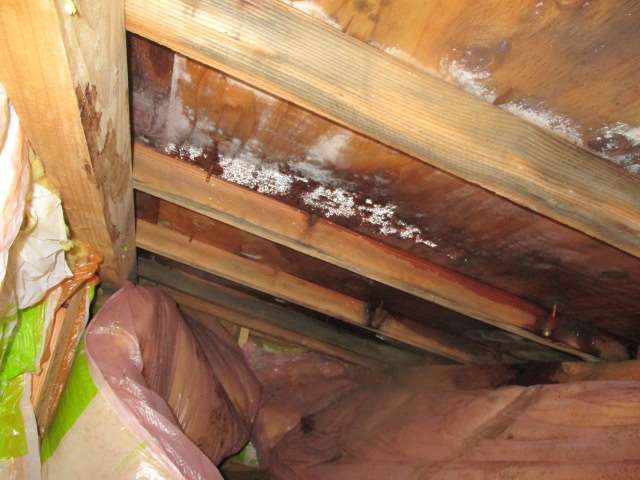 雨漏りか 結露か の確認のため調査 検証 有 グラス サラ